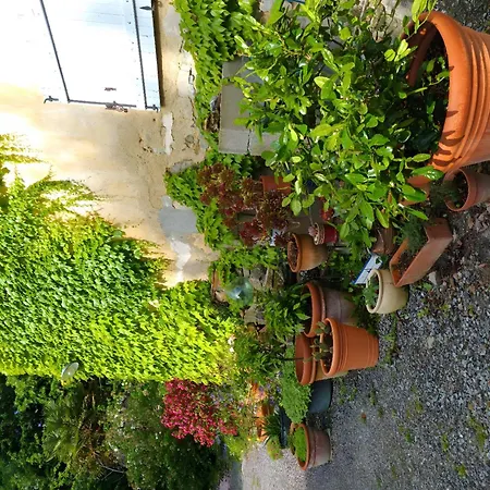 T2 Dans Demeure De Charme Holiday home Sainte Marie de Gosse