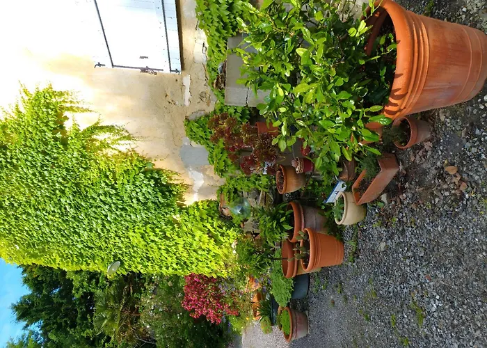 T2 Dans Demeure De Charme Holiday home Sainte Marie de Gosse